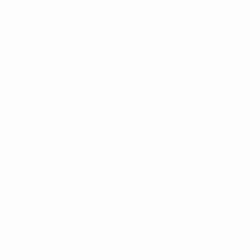 动态logo